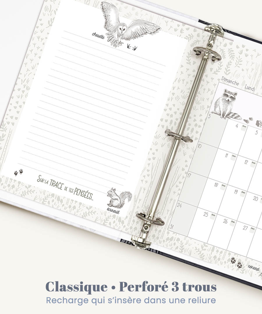 PLANIF 3 trous mosa accueil