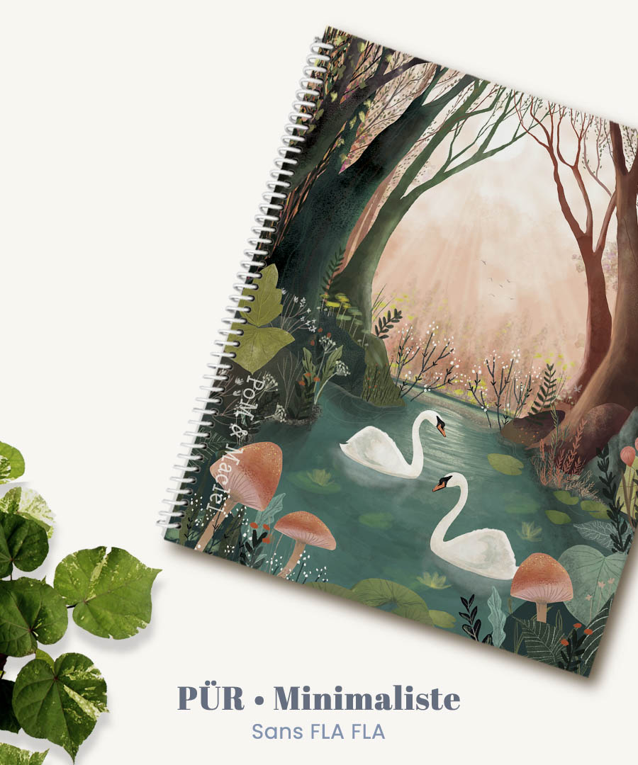 PLANIF PUR mosa accueil