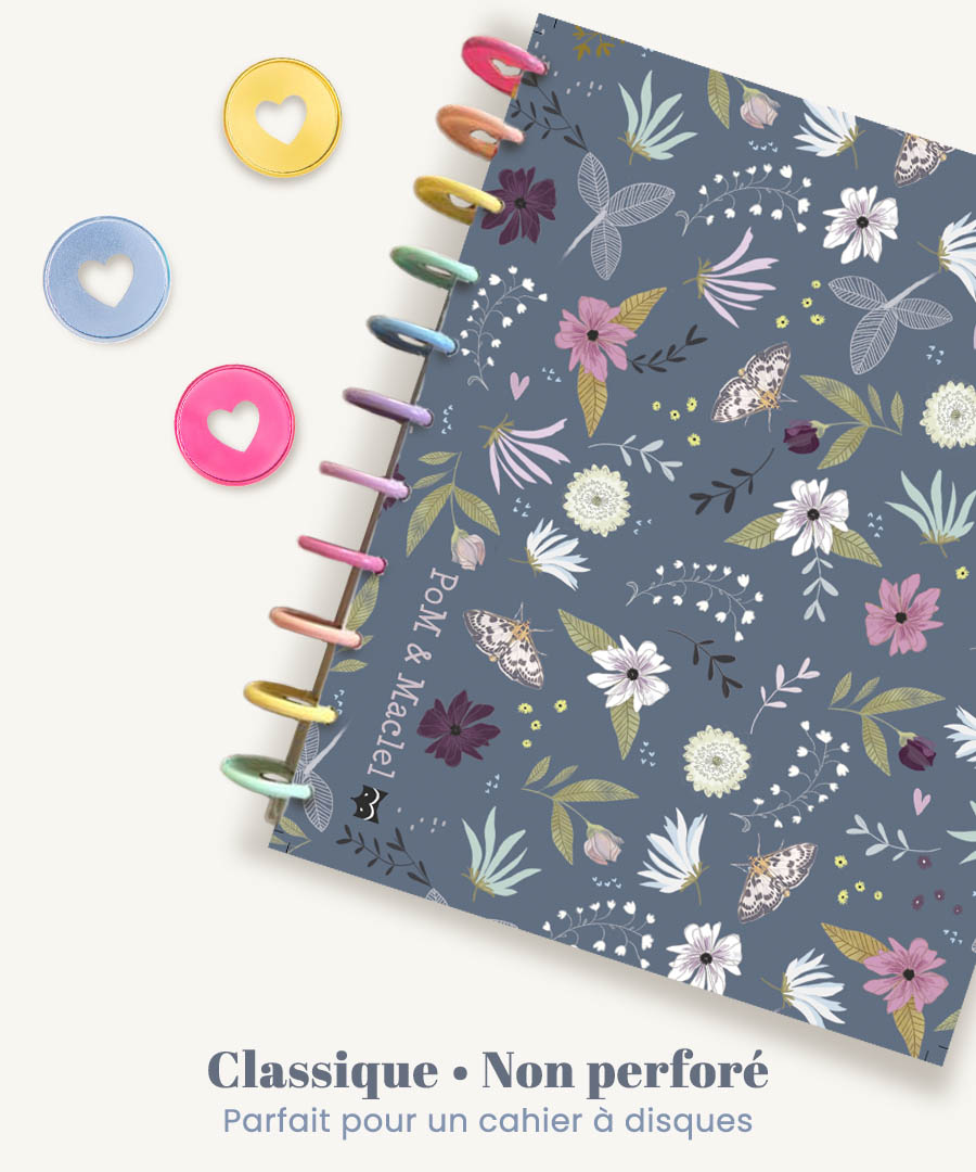 PLANIF disque Non perfore mosa accueil